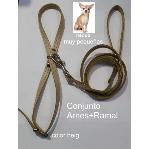 Arnes y amarre razas pequeñas. beig