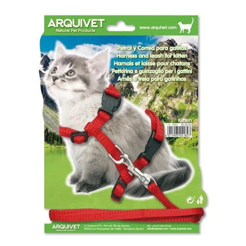 Petral + tirador gatitos 35/44cms.